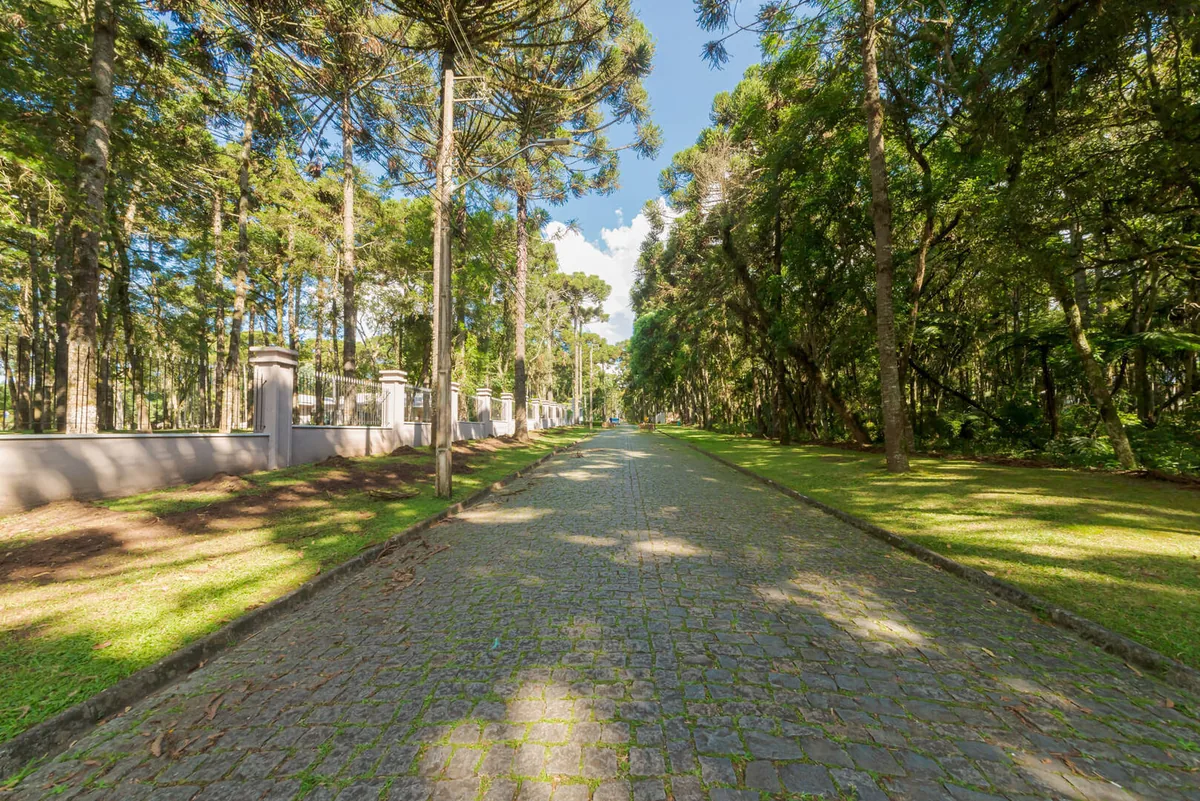 Alameda de paralelepípedo do Condomínio O Recanto, sombreada por araucárias