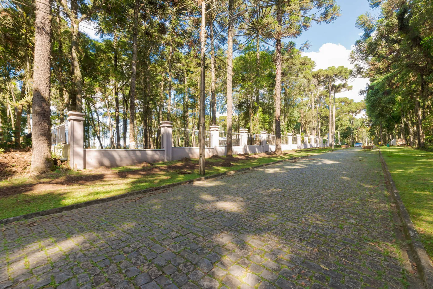Alamedas de paralelepípedo — ruas internas sombreadas por araucárias e pinheiros